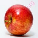 apple (Oops! image not found)